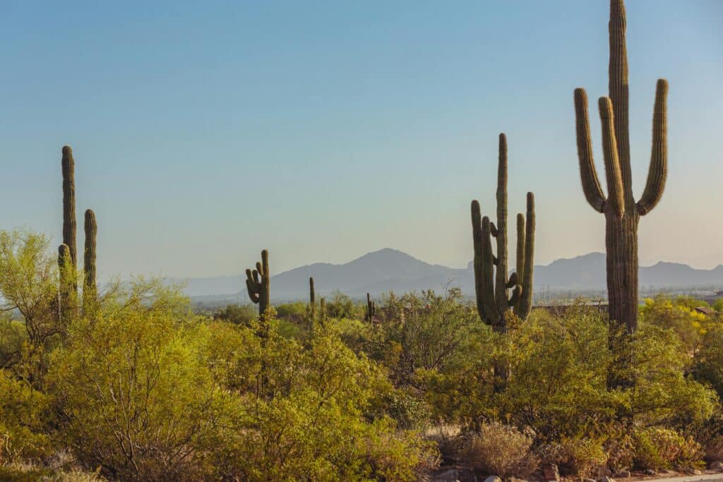 Phoenix, AZ