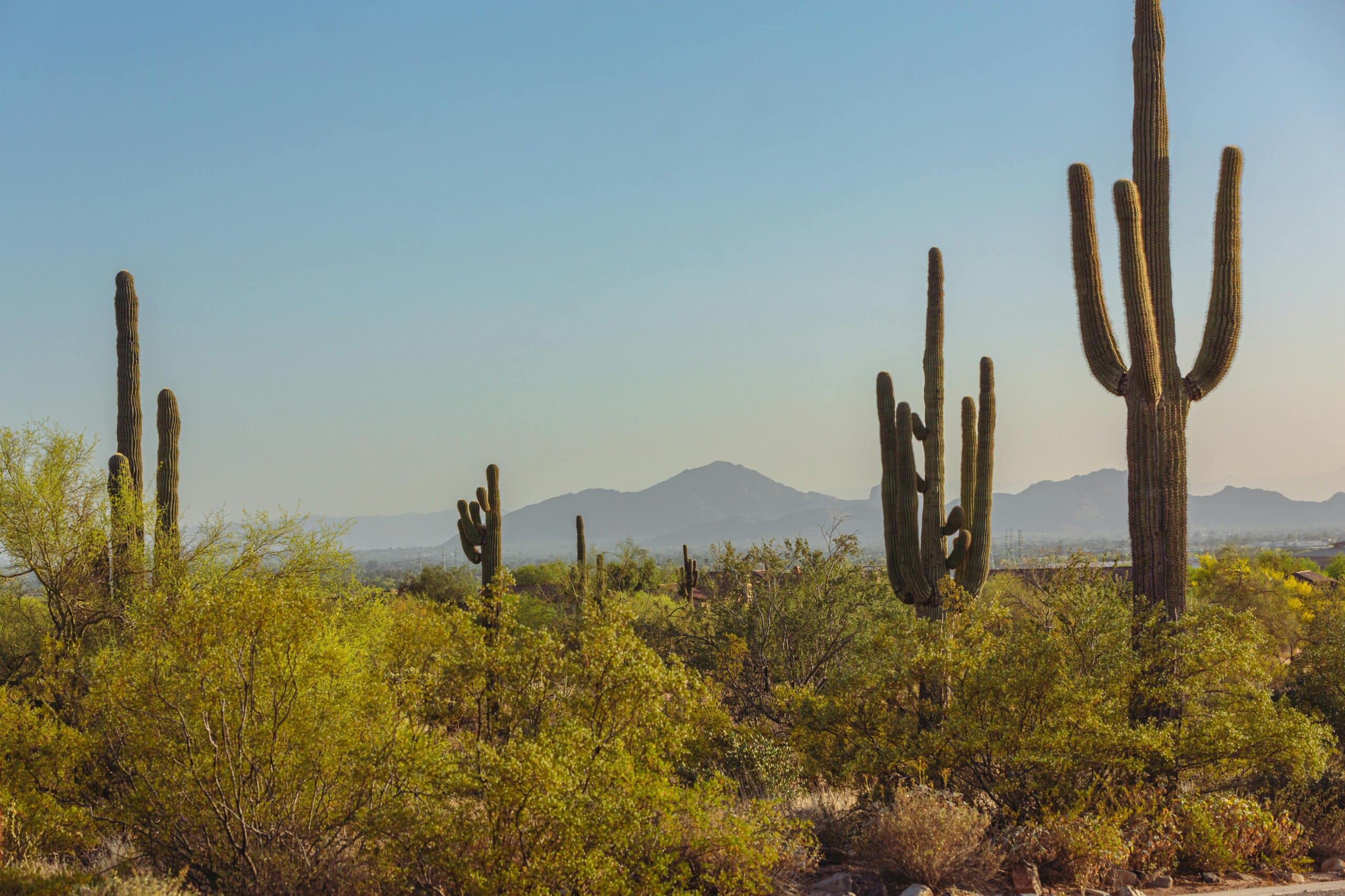 Phoenix, AZ