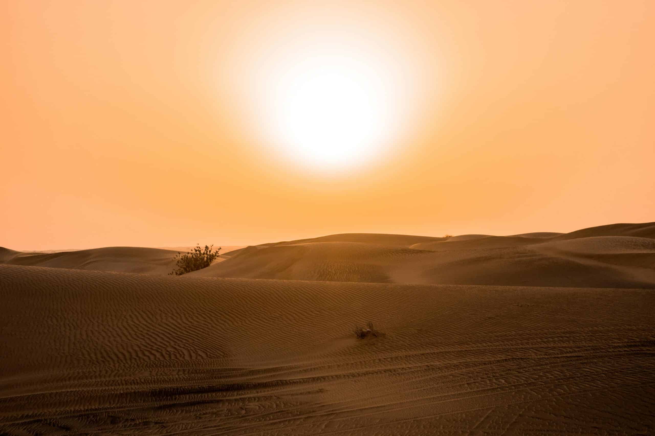 Phoenix heat