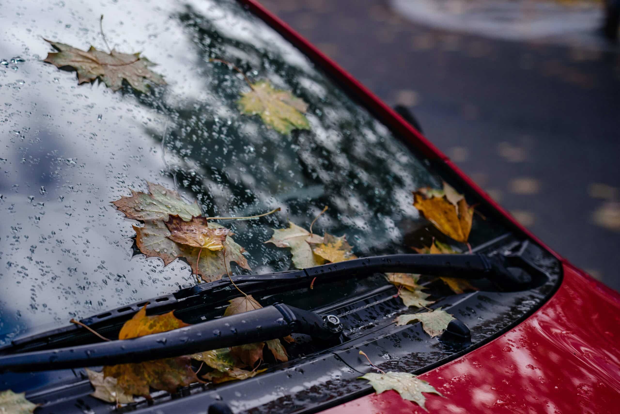 windshield wipers